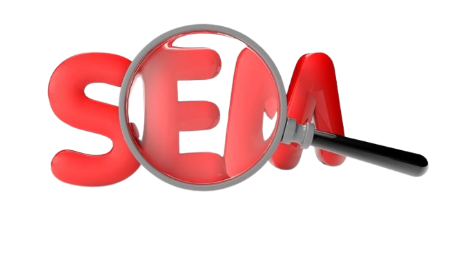 Expert social media services for brand development